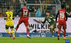 开云体育在线-勒沃库森主场战绩大幅提升，跻身前列