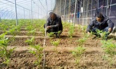 开云体育APP下载-武清队员全力备战，争取连胜