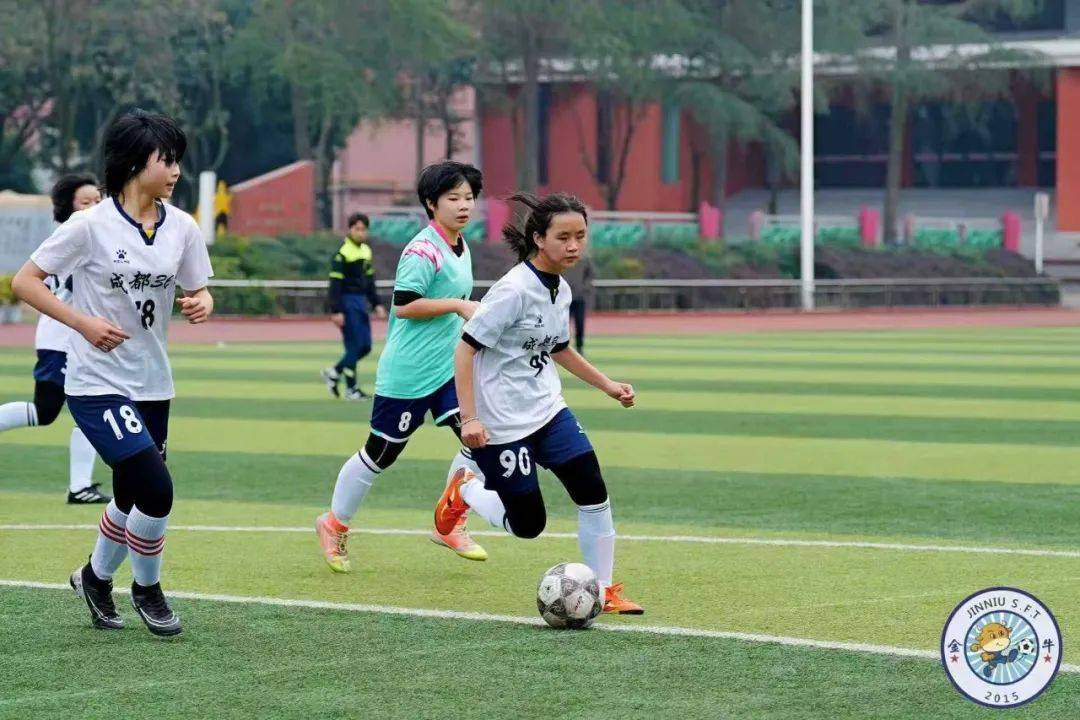 包含体坛传奇之旅：女足国家队运动员用汗水诠释拼搏的词条