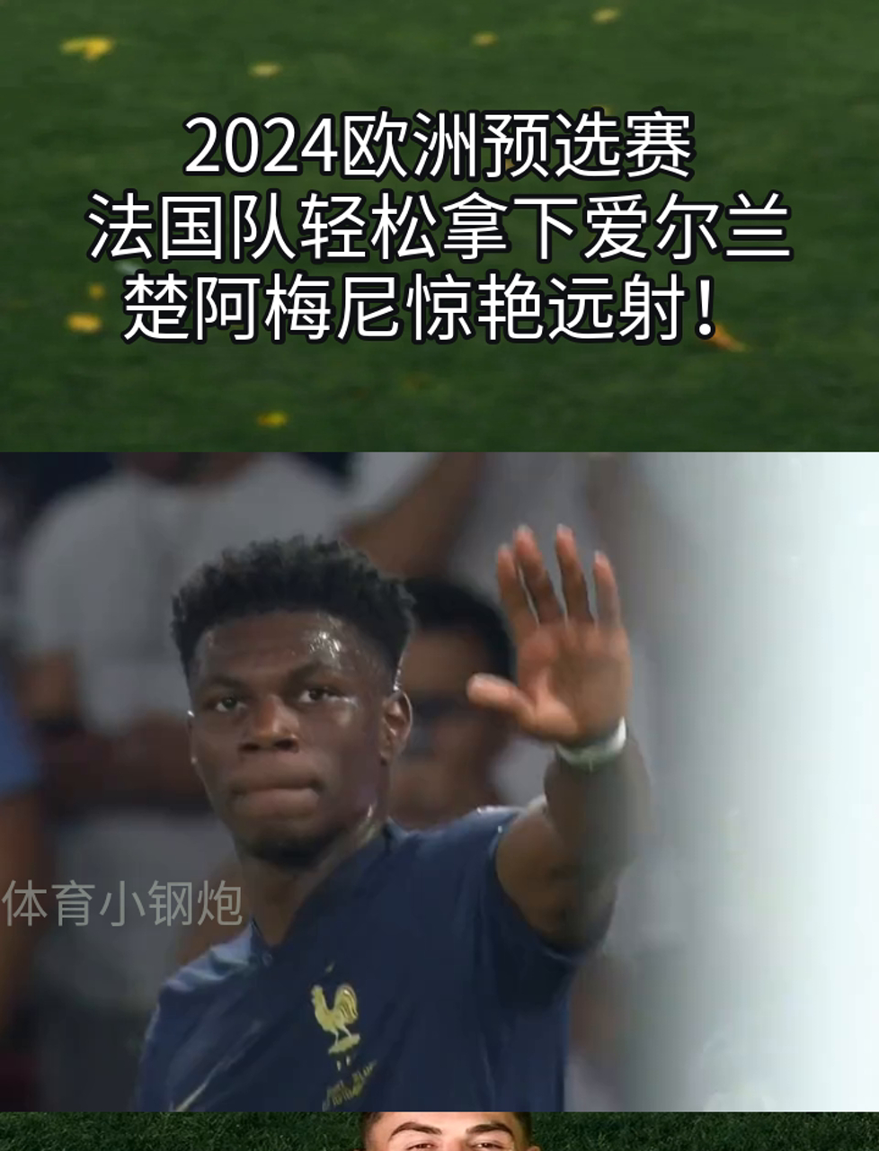 爱尔兰队在欧洲预选赛中迎来了一场胜利