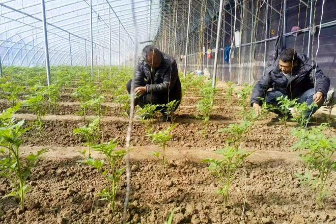 武清队员全力备战，争取连胜