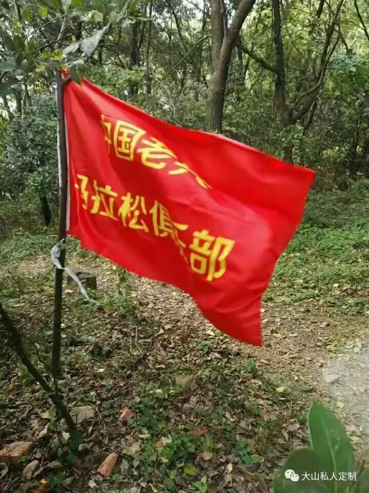 故乡之战胜出，球队高举胜利旗帜缔造佳绩