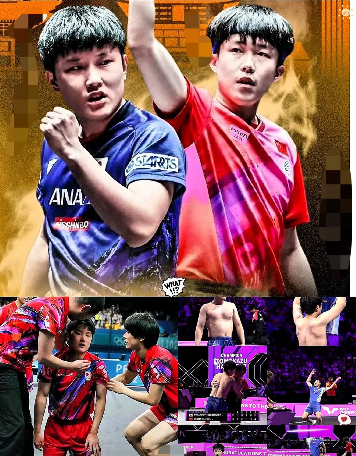 法国队碾压韩国队，张本智和高光表现的简单介绍