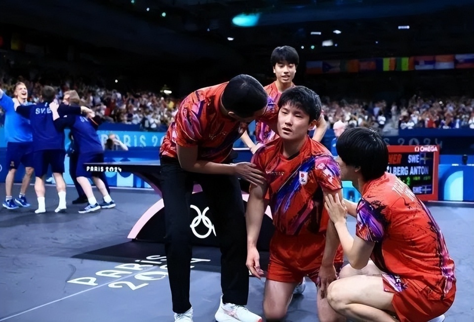 法国队碾压韩国队，张本智和高光表现的简单介绍