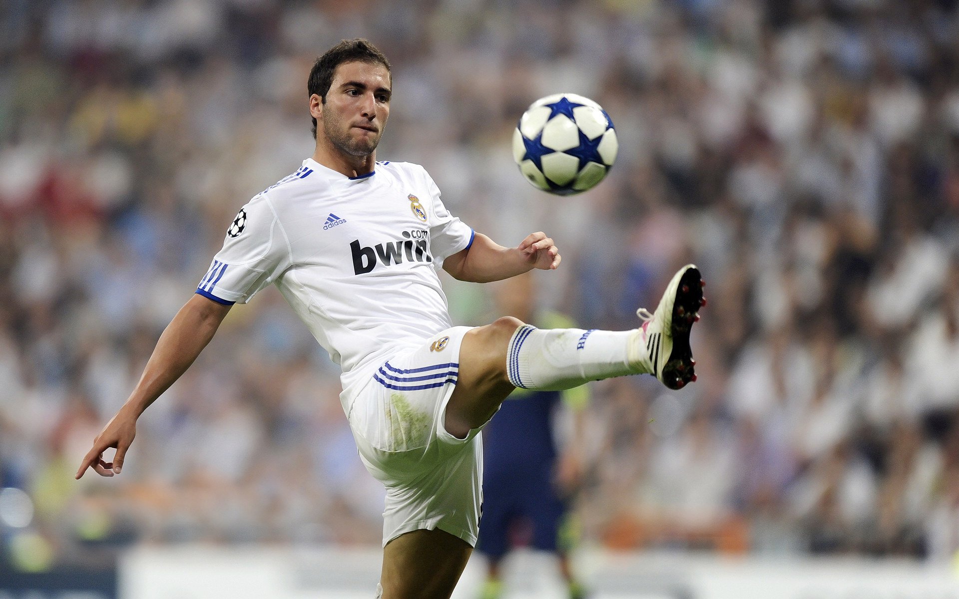 拉沃尔杯险胜戴维斯杯，德约科维奇惊艳四座的传奇之战